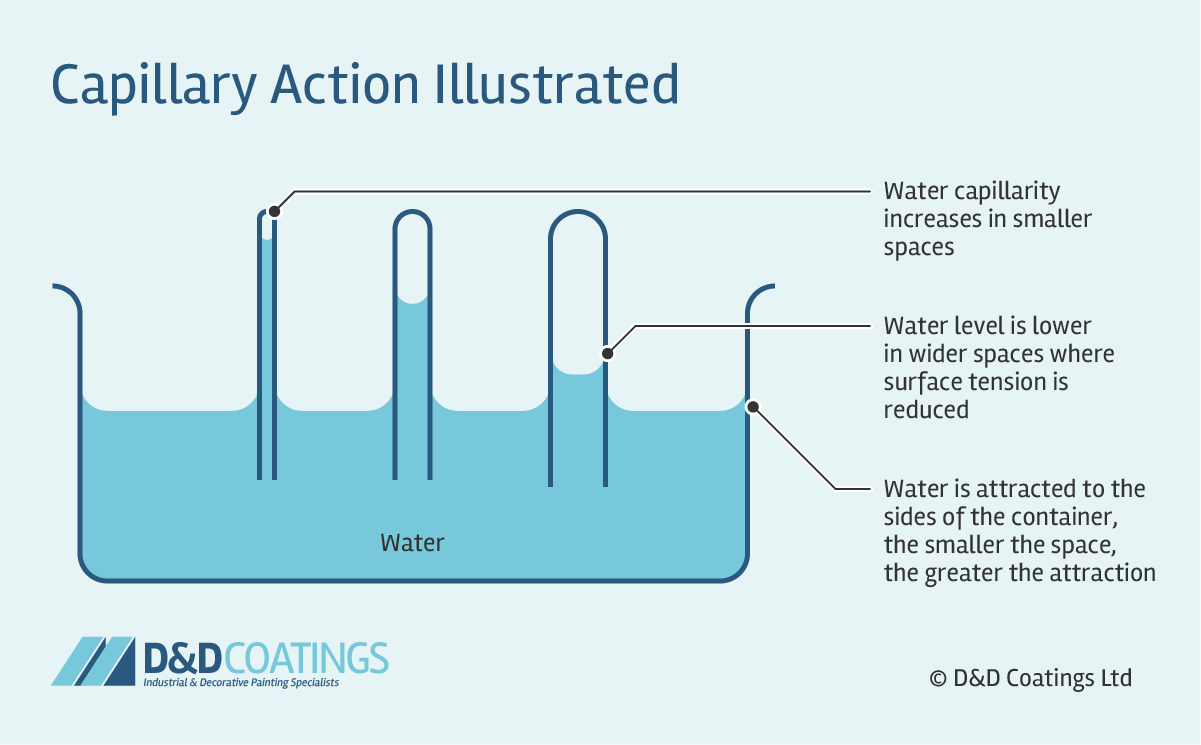  What Is Capillary Action 